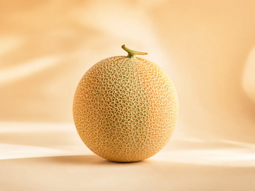 A whole cantaloupe melon on a warm studio backdrop, styled as a polished e-commerce product shot.